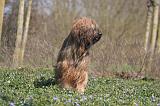 BRIARD 102